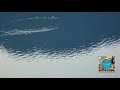 ワルトトイフェル:スケーターズ・ワルツ 作品183 ドゥダメル 2017