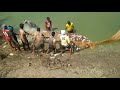 primitive fishing techniques || primitive fishing catching || msk vlogs tv