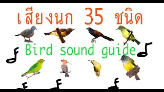 คู่มือเรียนรู้เสียงนก35ชนิด Birds sound guide