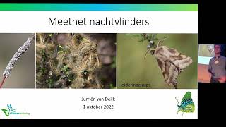 Meetnet Nachtvlinders