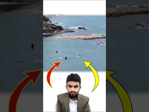 بلطف الله ينحرف الشر عنكم ولو كنتم امامه في قلب الخطر فإن الله يصرفه بلطفه قبل أن يمسكم 
