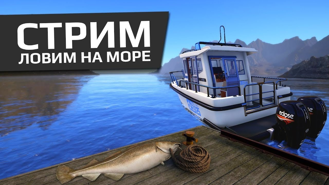 🦈РУССКАЯ РЫБАЛКА 4🦀КОПИМ НА ELECTRO RAPTOR🐠ДЕНЬ 1 - YouTube
