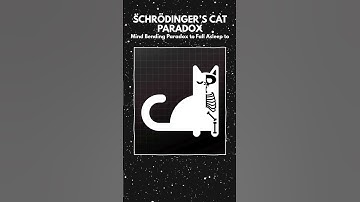 Schrödinger’s Cat Paradox  Every Paradox Explained To Fall Asleep To #logic #psychology #mindblowing