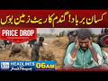 Farmers Are Devastated! Wheat Prices Have Plummeted.06AM News Headlines l 25 April 2026 l Rohi