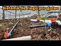 Como instalar un sistema de riego por goteo/ en invernadero