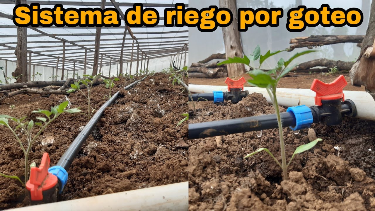 Mangueras de Riego Agricola - Riego por goteo