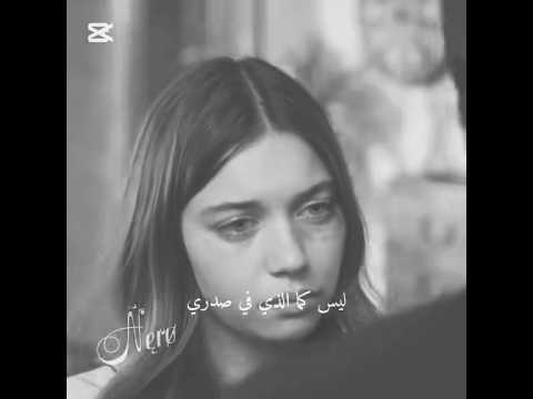 انهيار سيران مع فريد فريد الطائر الرفراف سيران فريد الطائر الرفراف