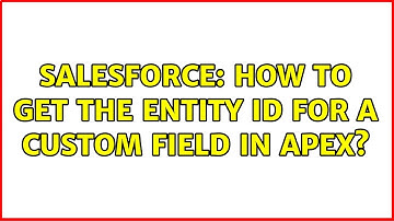 Salesforce: How to get the entity ID for a custom field in Apex? (3 Solutions!!)