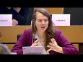 Kim van Sparrentak asks about the Digital Fairness Act