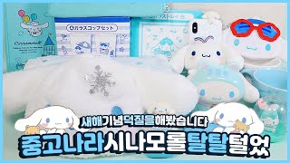 중고나라 시나모롤 탈탈털었💙 | 제일복권 아시는분? | 산리오 폰케이스부터 시나모롤 그릇까지 | 아무말 큰잔치 한번 열었어요✌🏻