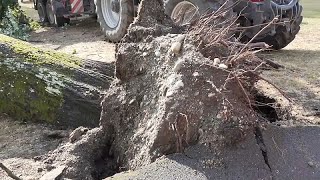 Schwere Unwetter in der Schweiz