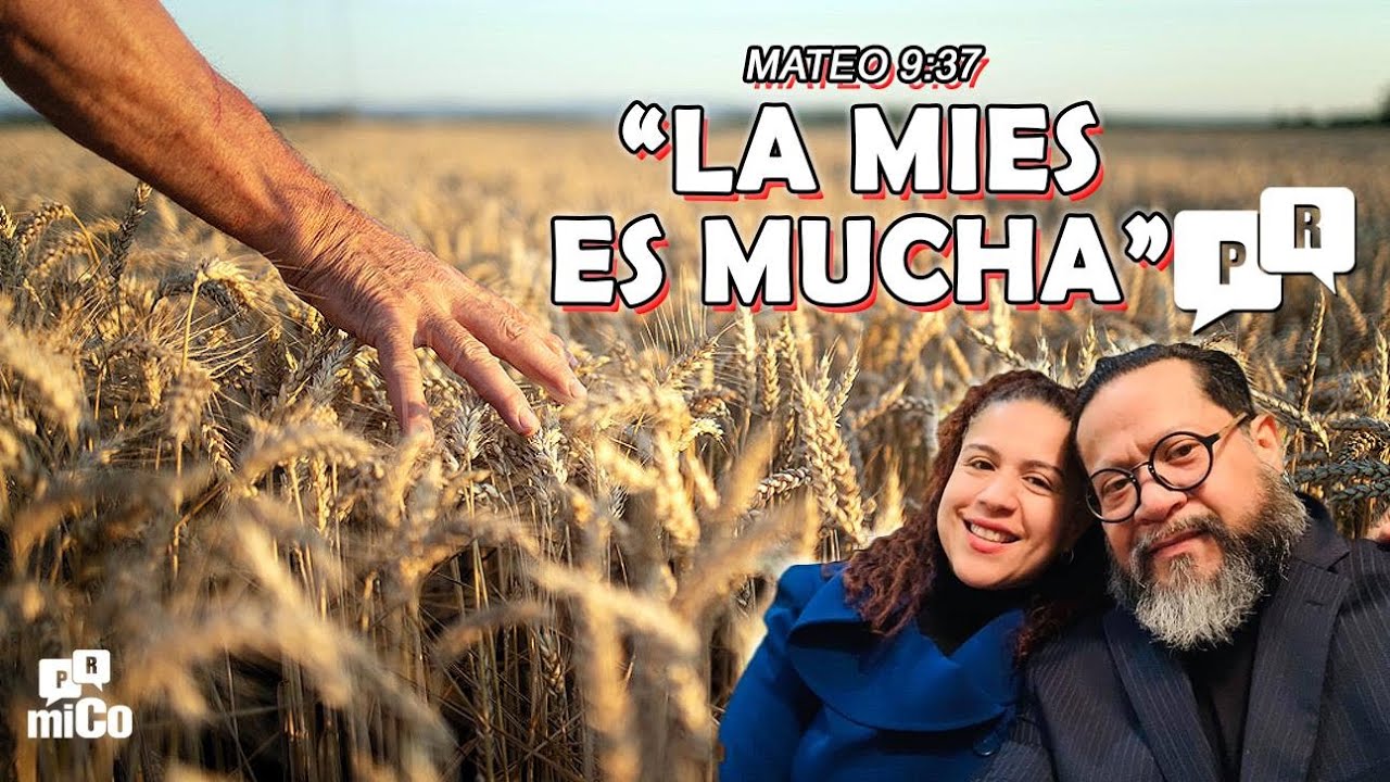 Mateo 9:37 ¿Qué significa que “la mies es mucha”? - YouTube