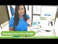 The Pet Pawcast - How To Help Your Pet Lose Weight