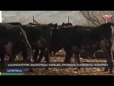 საქართველოში მსხვილფეხა რქოსანი პირუტყვის რაოდენობა შემცირდა