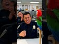 Talking Parrot Roasts Police Officer 😂 | Funny Prank Short #shorts