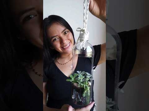 Video: Livi anima plantas en macetas con jardines colgantes verticales