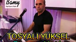 Tosyalı Yüksel Kurt - Ellerin Yari