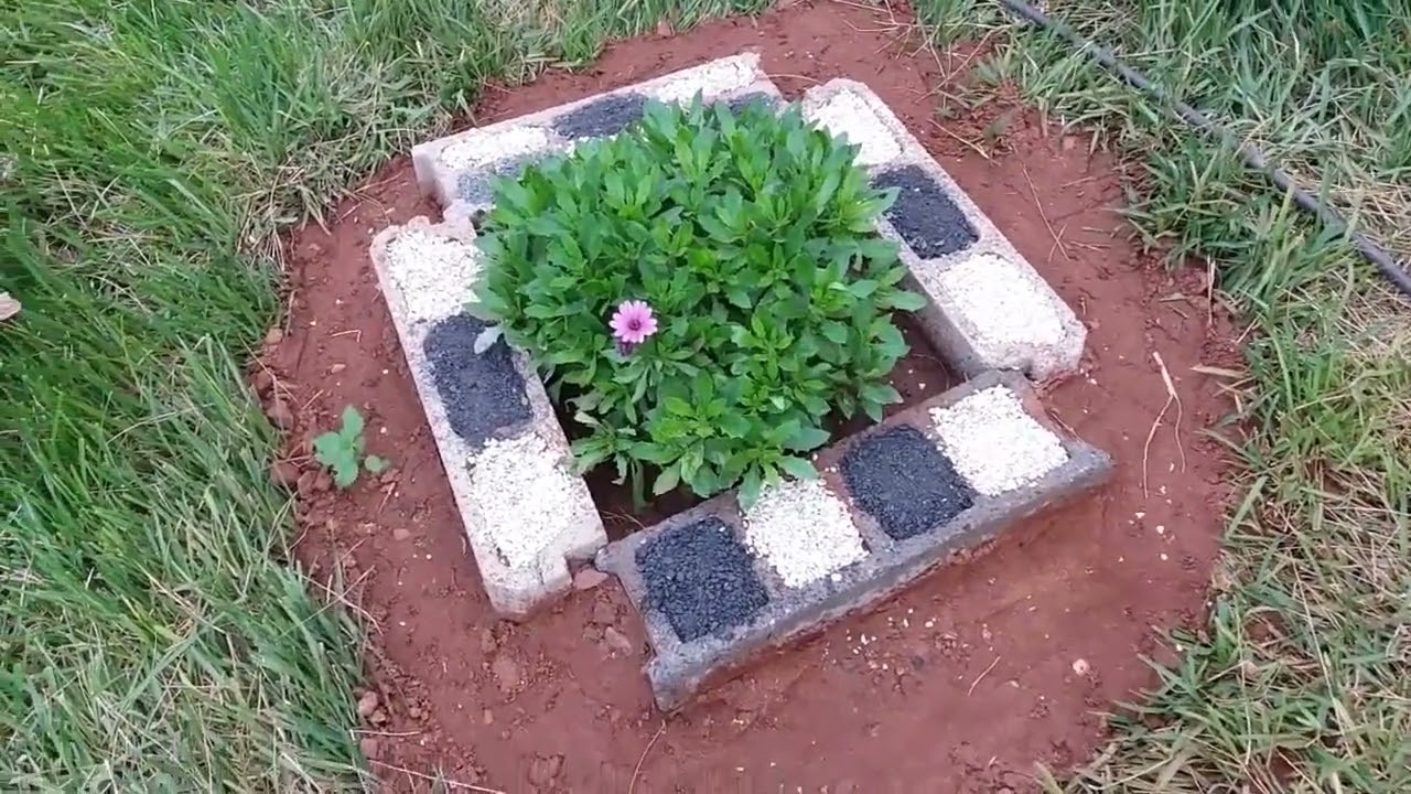 بطريقة جد سهلة و بسيطة استغل وقتك و زين جمالية حديقتك كما ينبغي /// اهتم بجمالية حديقتك بأبسط طرق 