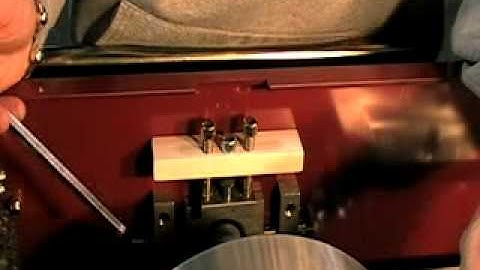 Panther White Station