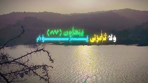 ولا تخزني يوم يبعثون #quran #قرآن #القرآن_الكريم #القرآن_الكريم #قران_كريم #تلاوة_خاشعة #المصحف
