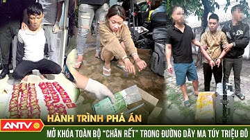 “Dụ rắn ra hang”, trinh sát đánh dập đầu toàn bộ “chân rết” ma túy triệu đô | Hành trình phá án|ANTV