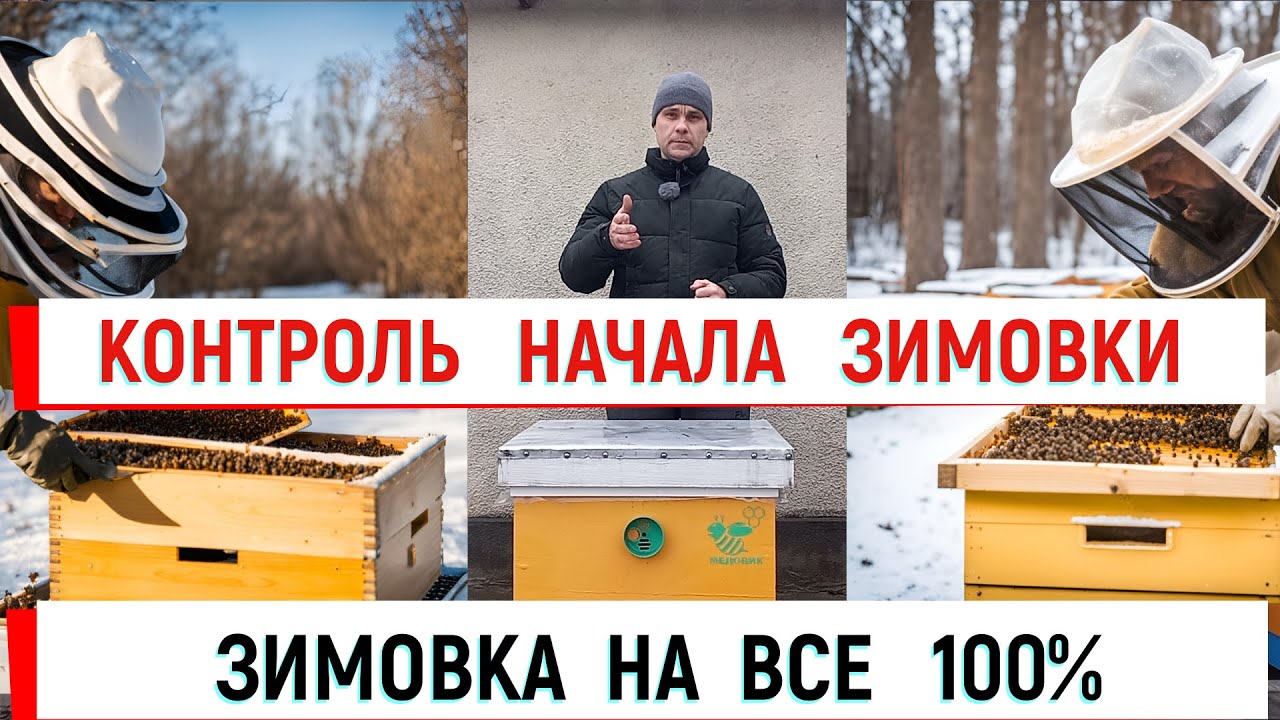 Контроль начала зимовки = зимовка 100%. Наглядно на примерах.