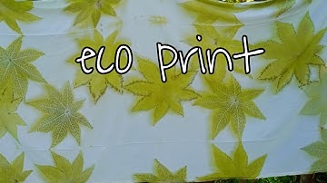 How to Make Eco print on Fabric - Eco Printing Fabric Tutorial - Eco Printing with streamer ep.3