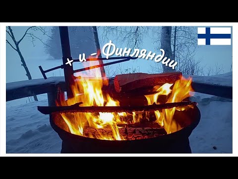 Жизнь И Учёба