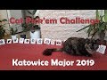 Cat Pick'em Challenge Katowice Major 2019