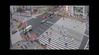 Tom And Jerry Mouse 9121 1948