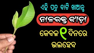 ଏହି ପତ୍ରକୁ ବାଟି ଖାଆନ୍ତୁ, ନାଳରକ୍ତ ଝାଡ଼ା କେବଳ ଗୋଟେ ଦିନରେ ଭଲ ହେବ | Blood in Stool Home Remedy in Odia