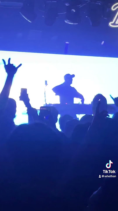 it’s not a real rave until jellyfish jam drops 🪼 #djset #dj #spongebobsquarepants #jellyfish