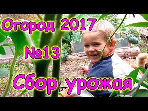 Огород 2017г. - сбор урожая, конец сезона. (09.17г.) Семья Бровченко.