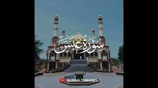 Surah 'Abasa - Abdul Basit - Mujawwad - 080 - Quran Channel (Audio)