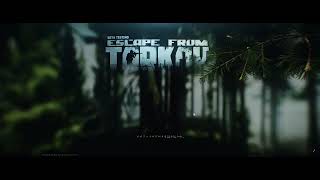 Escape from Tarkov  Error video