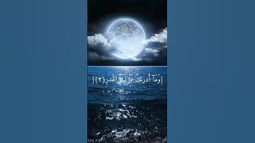 ليلة القدر خير من الف شهر #قران_كريم #سورة_القدر