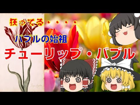 バブルの始祖　チューリップ・バブルの解説