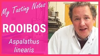 Rooibos Tea or Red Bush Tea, caffeine-free South African herbal tea | Andrew's Tasting Notes