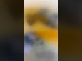 الحورية الزوريه
