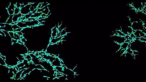 Space Colonization - Maya Bifrost