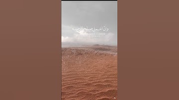 حالات واتس أب | ما تيسر من سورة النمل بصوت خاشع