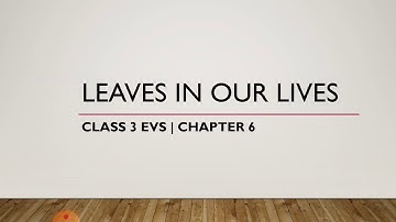Class 3 EVS | Chapter 6 : leaves in our lives