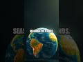The Green Pulse: Satellites and Secrets of the Amazon