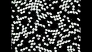 Yoon Eun Hye Baby V.O.X First Concert in Seoul - 01 - Intro