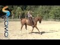 Cómo frenar y hacer correr un caballo - Curso hípica