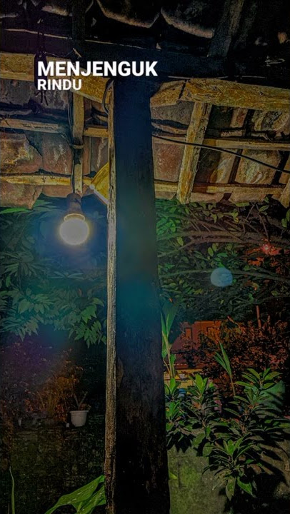 Story wa lagu reggae tertanam