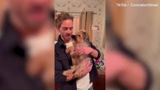 Video: Coronation Street actor Jack P Shepherd introducers new dog David