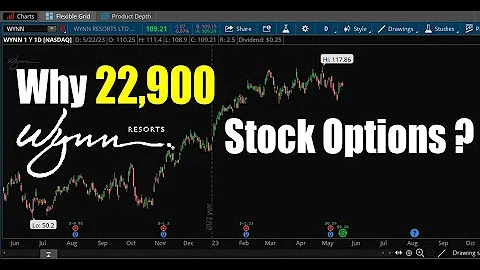 Why 22,900 WYNN Stock Options?