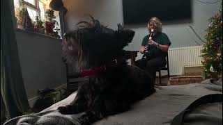 Morag appeals to her accompaniment to pay attention when singing along to Silent Night by London Scottie Club 2,658 views 2 years ago 30 seconds