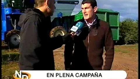 TRUJAL DE VIANA. NAVARRA DIRECTO